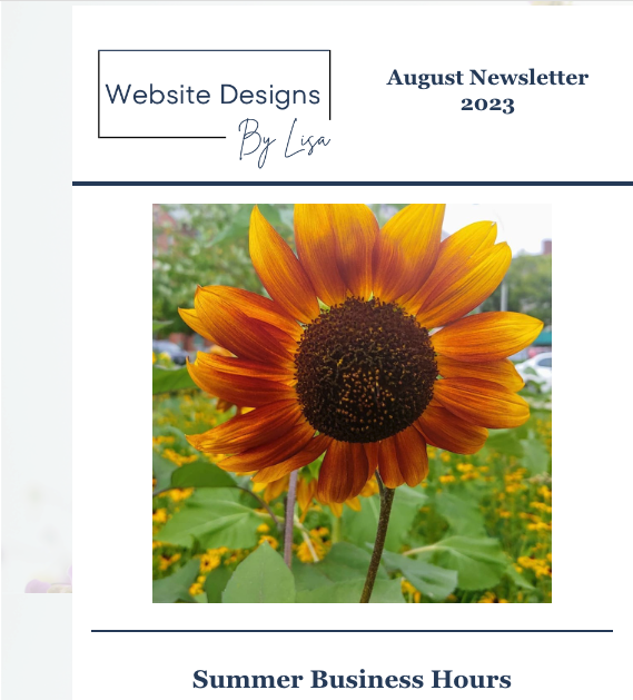 August 2023 Newsletter - Website Designs By Lisa